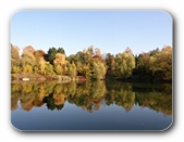 Postkarte vom Teich