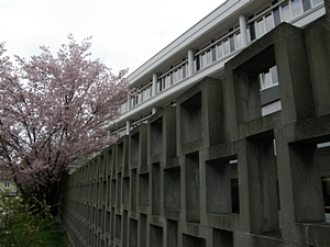 Finanzamt Weingarten mit Bl�tenpracht :-)