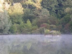 Kreuzbergweiher mit Fr�hnebel